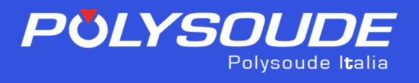 logo polysoude-it